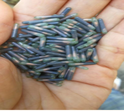 RFID玻璃管标签