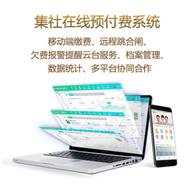 长沙威胜单相电力载波电表 预付费远程智能抄表电度表 DDSF102-Z
