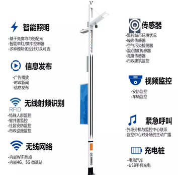 智慧路灯厂家 智慧城市医院学校工程项目互联网物联网路灯定制