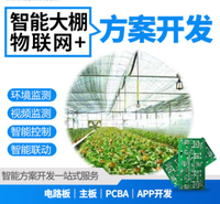 农业生产棚 智能农业大棚 智能温室大棚方案设计 手机APP视频监测