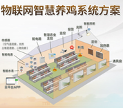 物联网智能养殖方案养鸡系统解决方案自动化养鸡智能控制