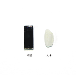 超小型PCB抗金属超高频电子标签